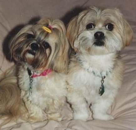 gallery/m&i collage (2)