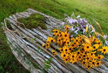 gallery/aspen tree trunk coffin
